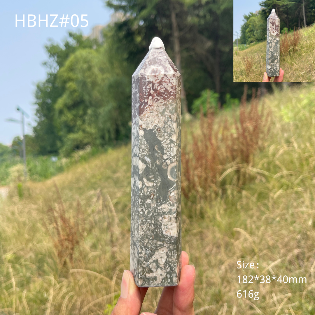 Unique,Natural Crystal Crinoid Fossil Point