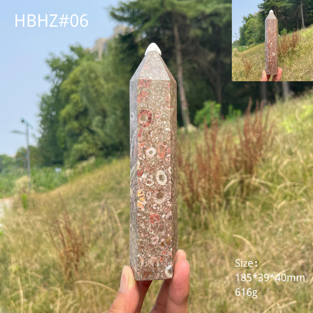 Unique,Natural Crystal Crinoid Fossil Point