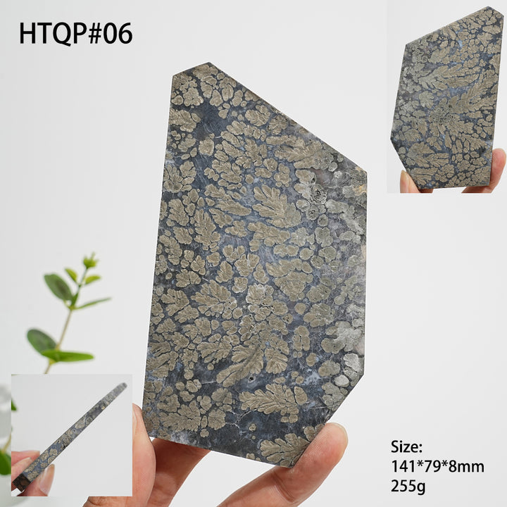 Unique,Natural Crystal Agate With Pyrite Slice