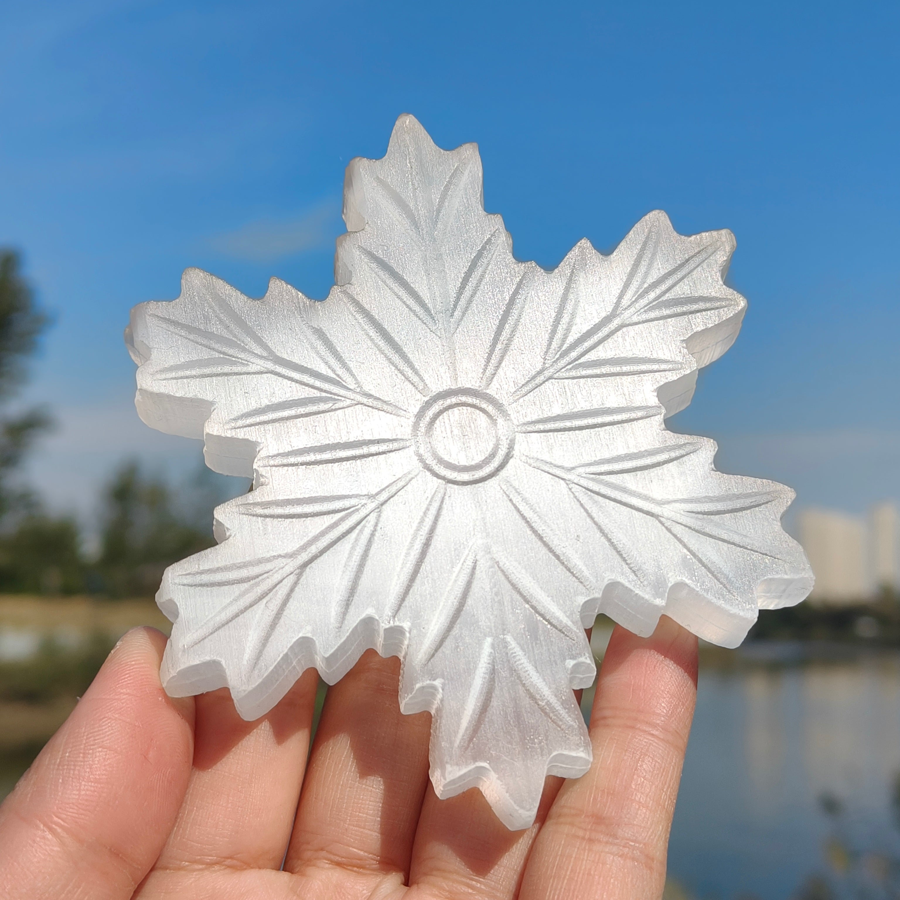 Natural Selenite Snowflake – KiKi Crystal
