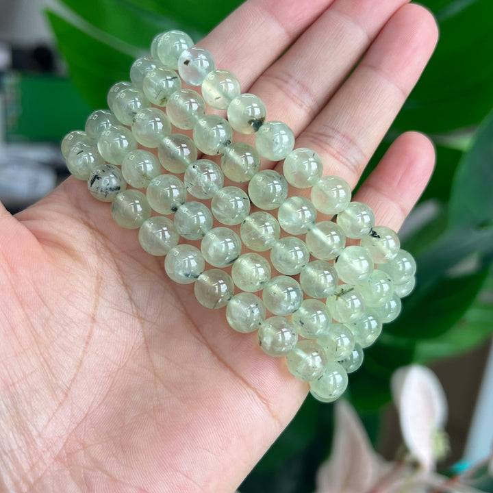 Prehnite Bracelet 8~8.5mm