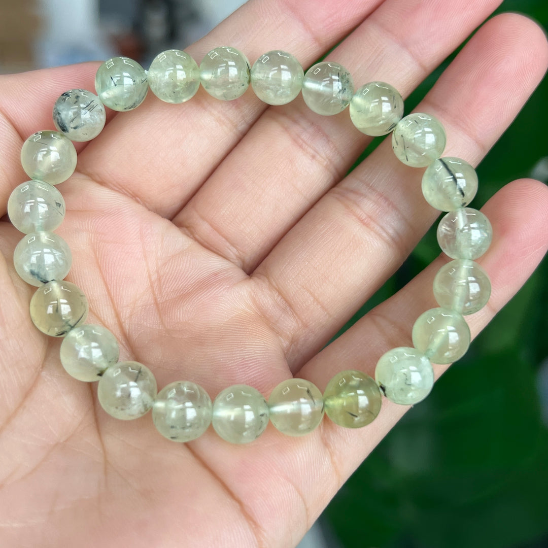 Prehnite Bracelet 8~8.5mm