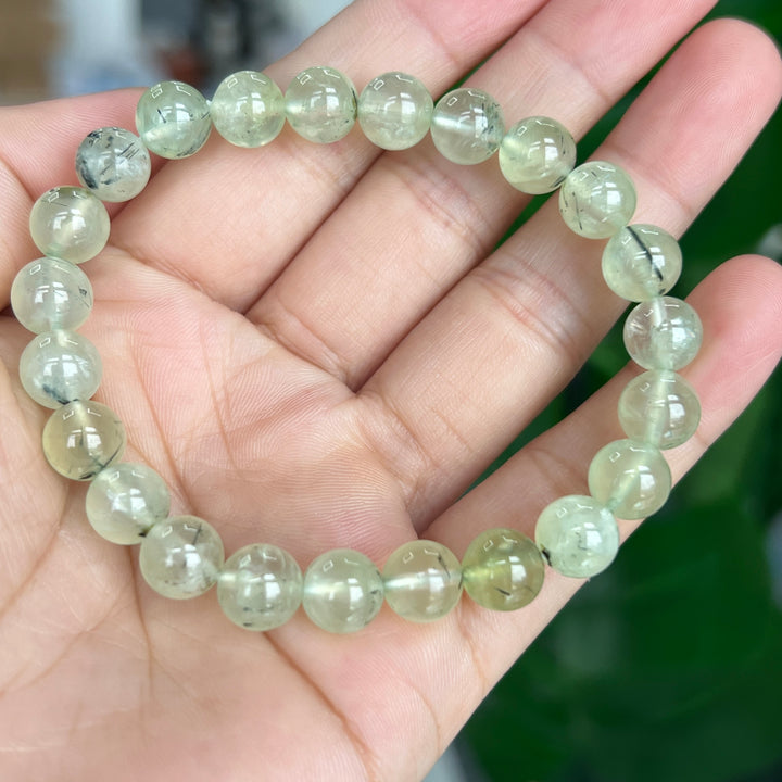 Prehnite Bracelet 8~8.5mm