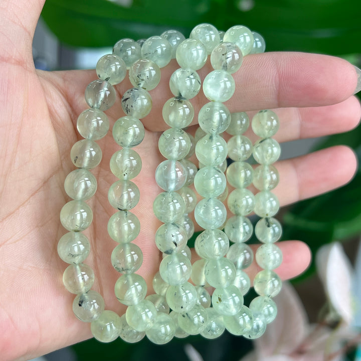 Prehnite Bracelet 8~8.5mm