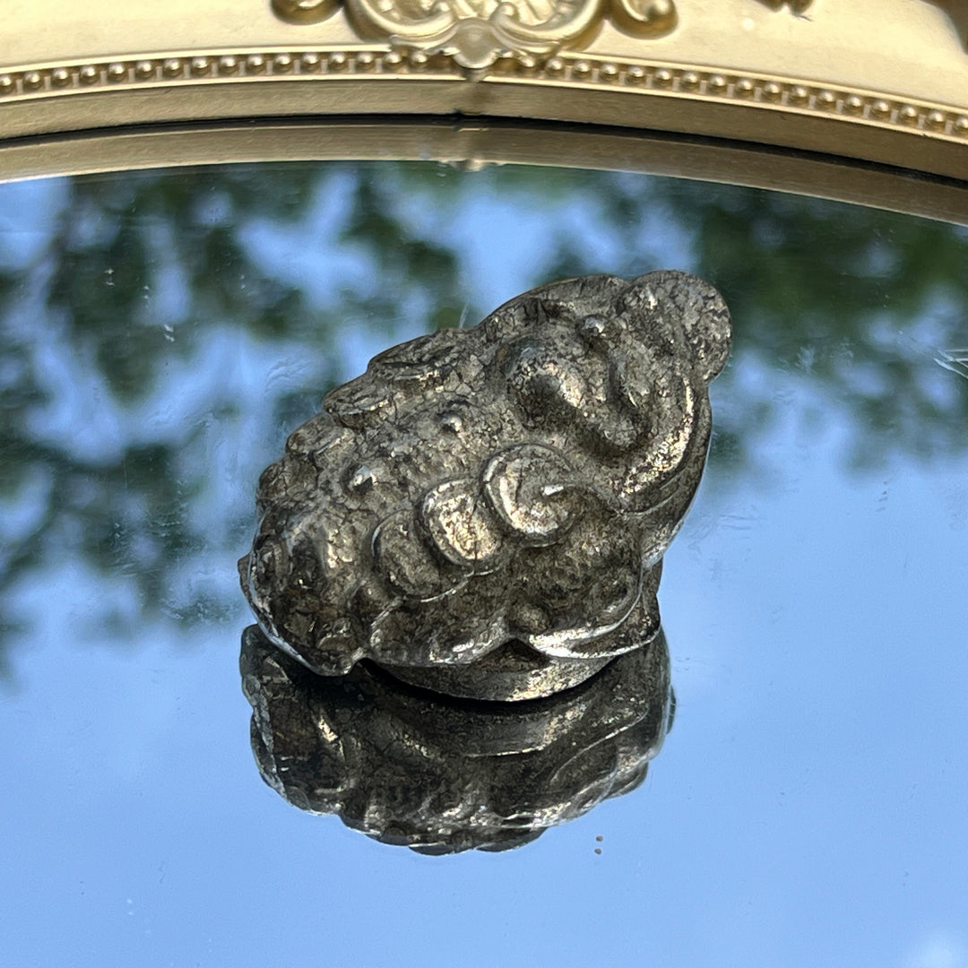 Pyrite Golden Toad