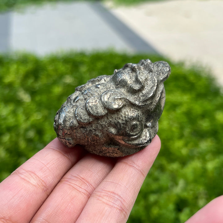 Pyrite Golden Toad