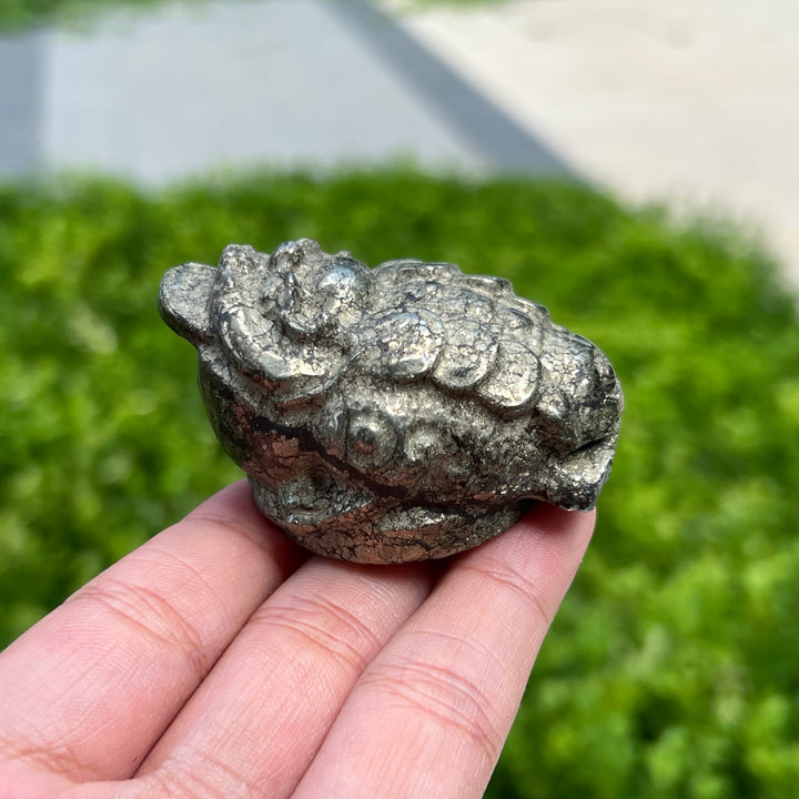 Pyrite Golden Toad