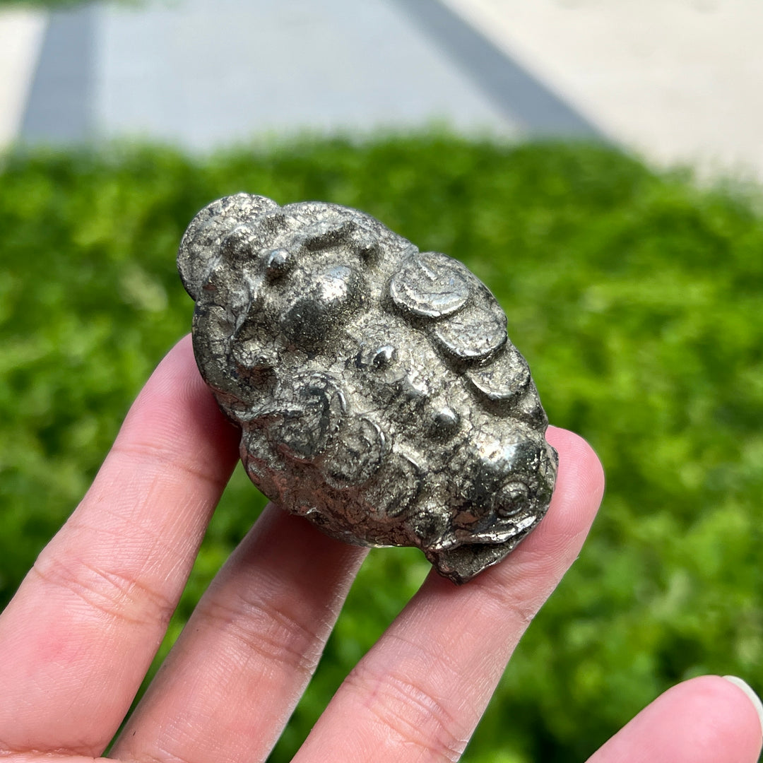 Pyrite Golden Toad