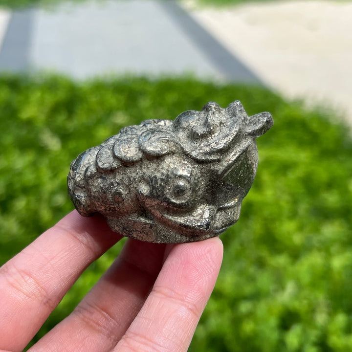 Pyrite Golden Toad