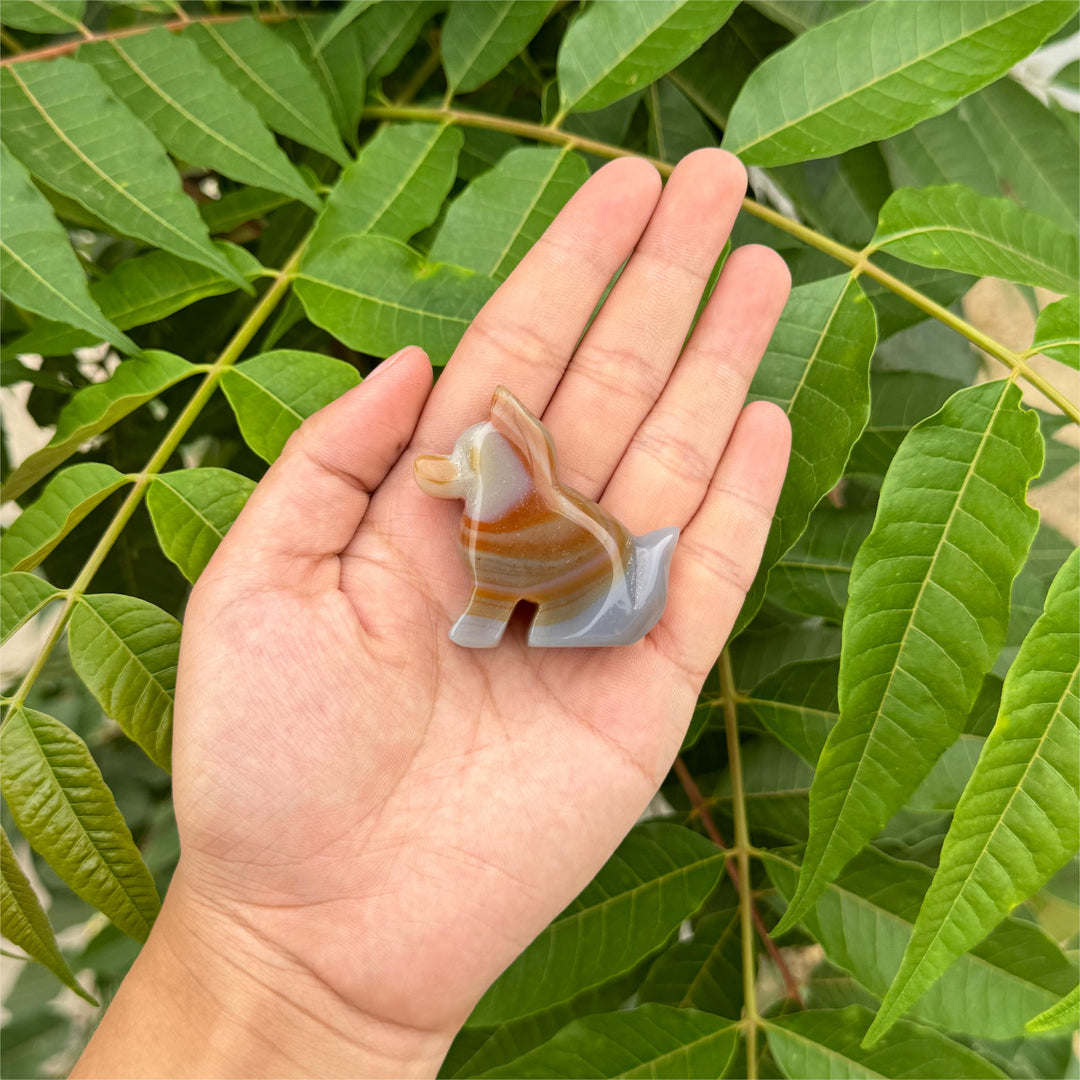 Agate Dog And Cat