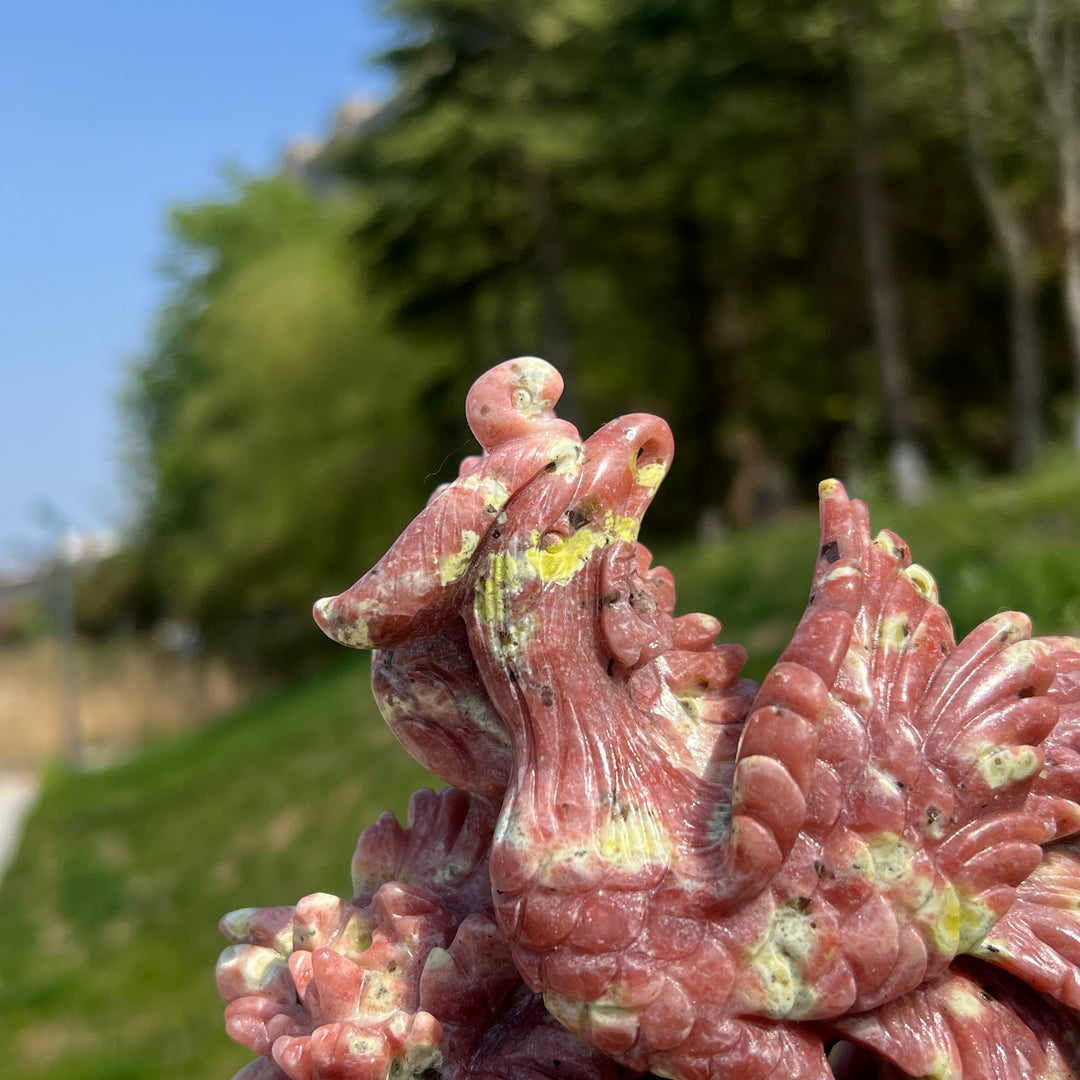 Unique,Natural Red Calcite with Serpentine and Phlogopite Phoenix Carving