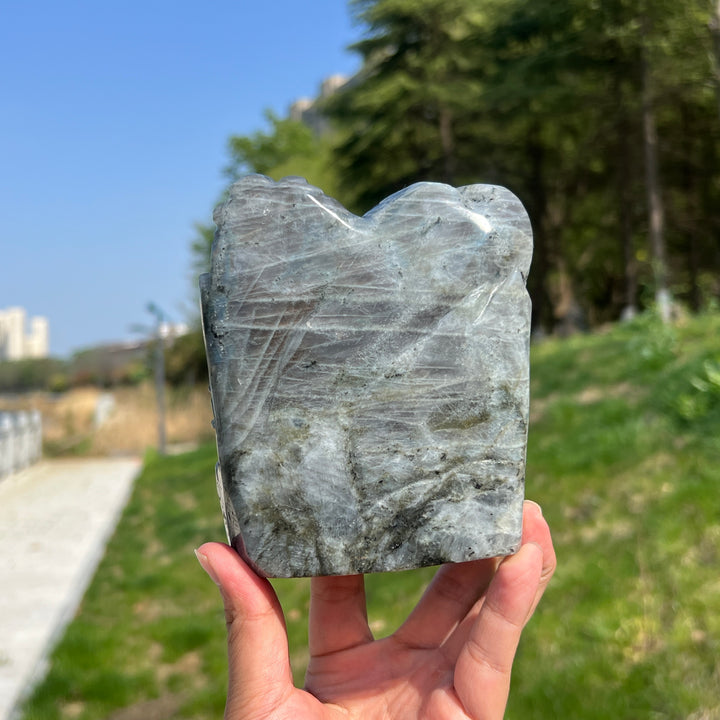 Unique,Natural Labradorite Pine Tree Carving