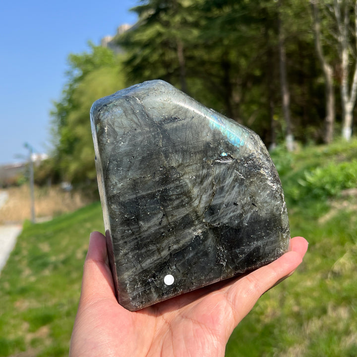 Unique,A Slightly Imperfect Labradorite Pine Tree Carving
