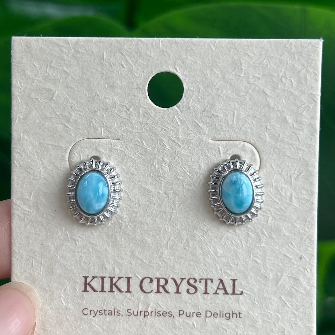 Jewelry Earring,S925
