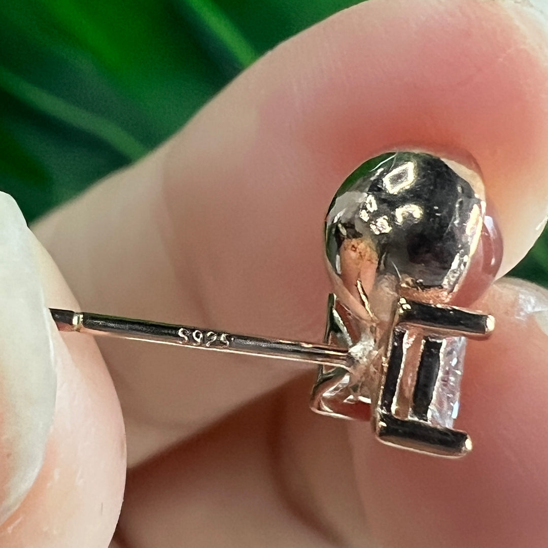 Jewelry Earring,S925