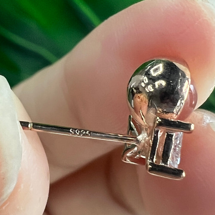 Jewelry Earring,S925