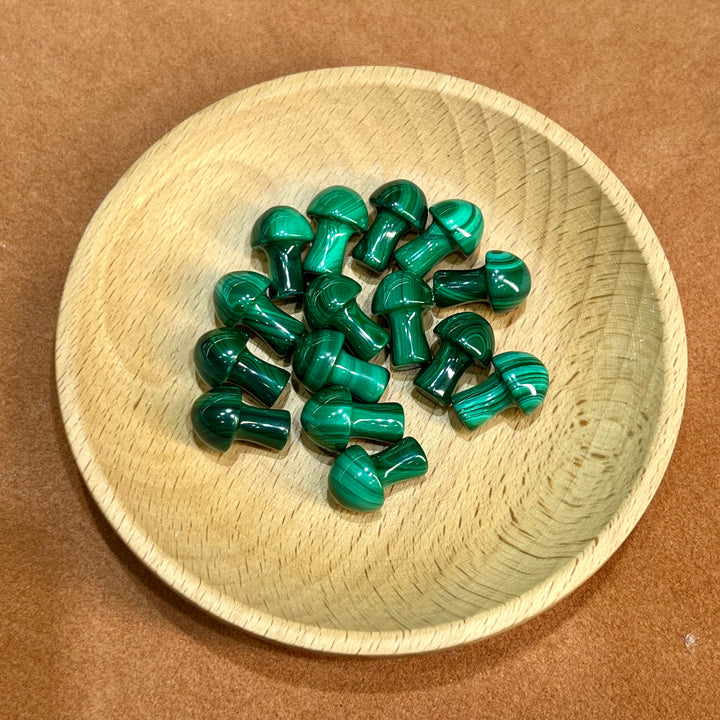 Mini Malachite Mushroom