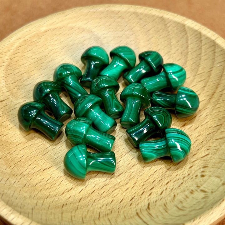 Mini-champignon malachite