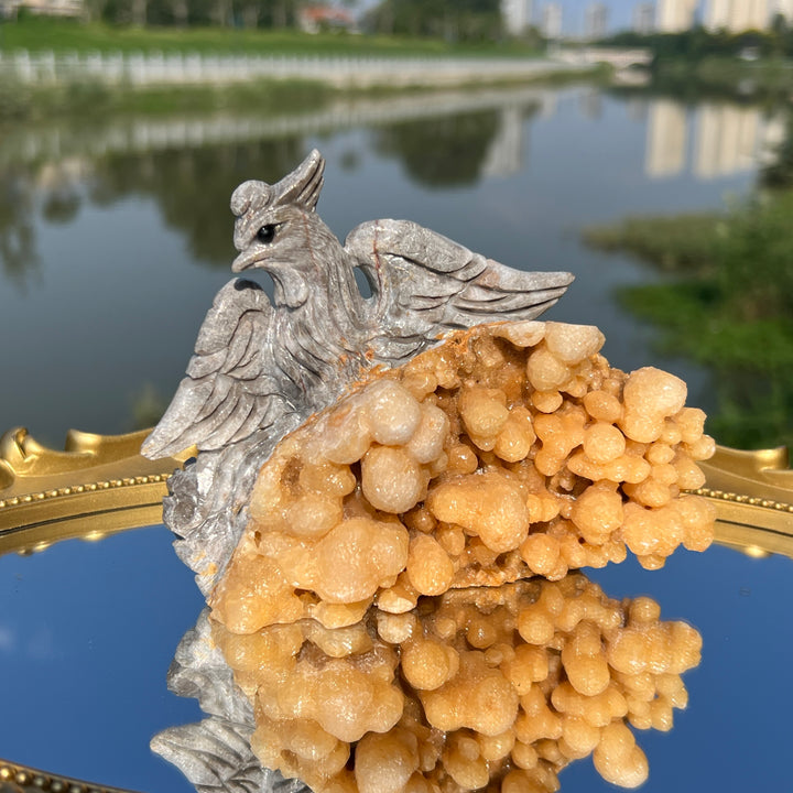 Natural Calcite Phoenix with Stalactite Formatio