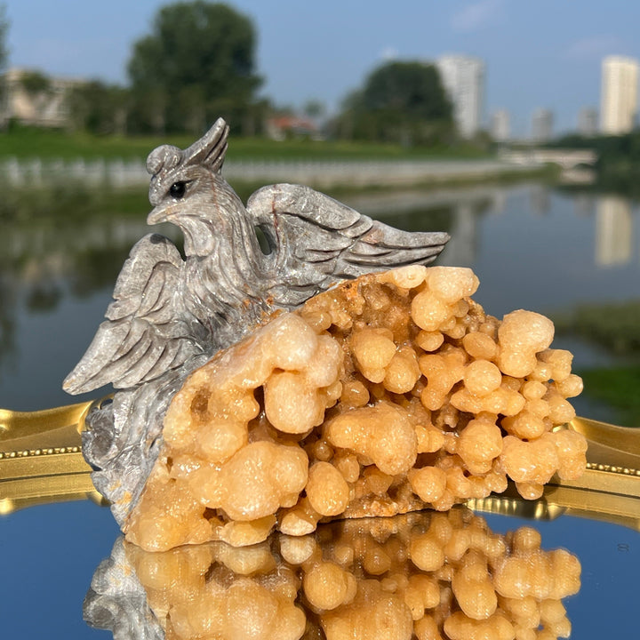 Natural Calcite Phoenix with Stalactite Formatio