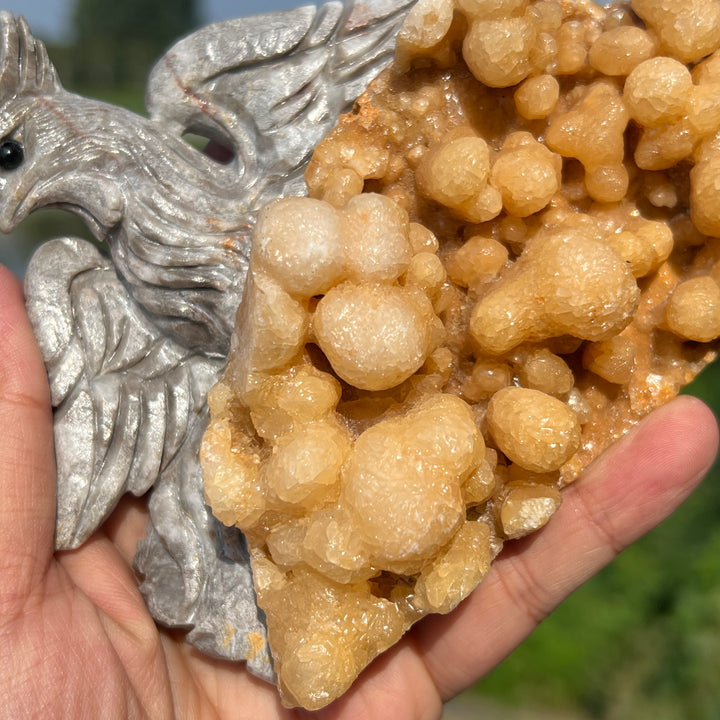 Natural Calcite Phoenix with Stalactite Formatio