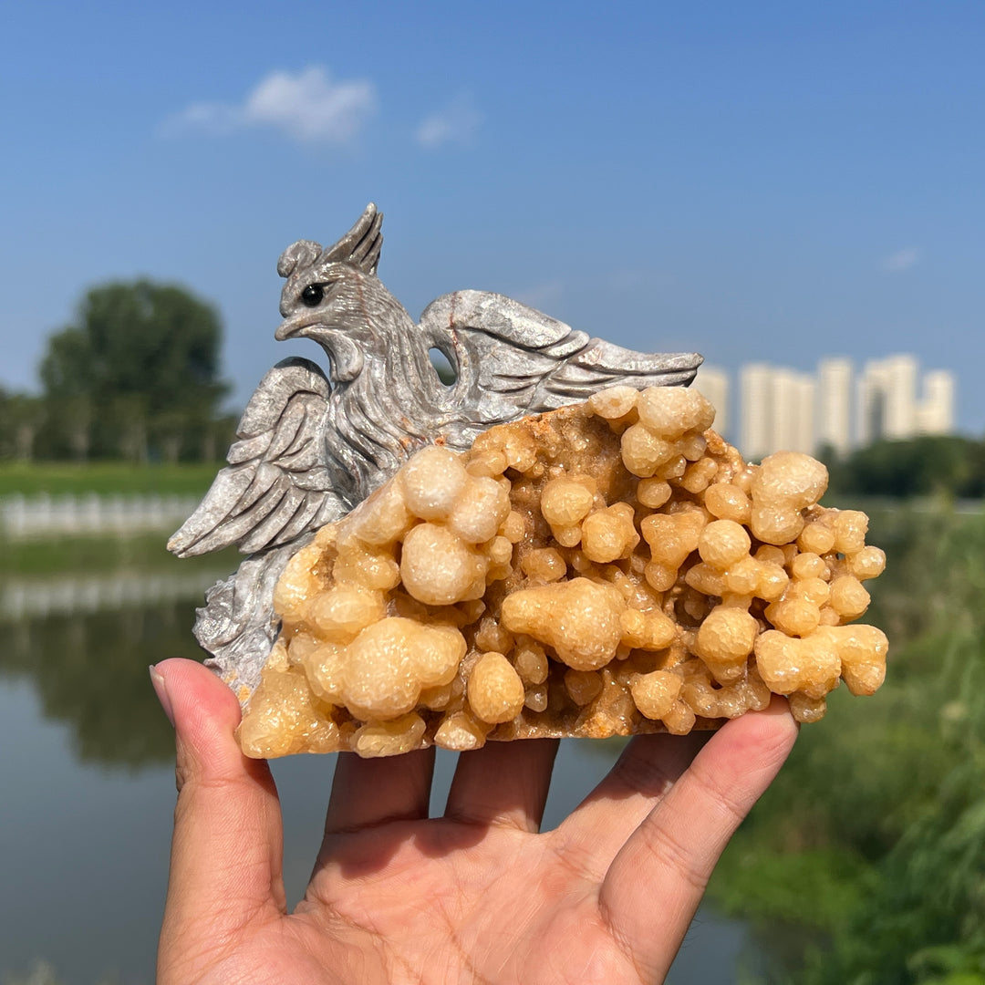 Natural Calcite Phoenix with Stalactite Formatio
