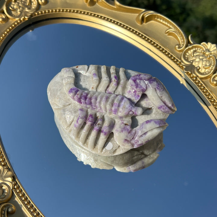 Hackmanite Scorpion