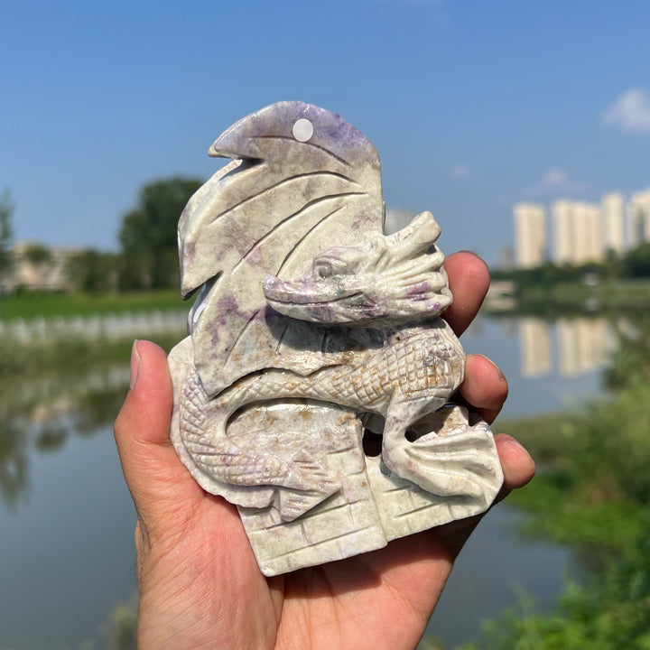 Natural Hackmanite Dragon