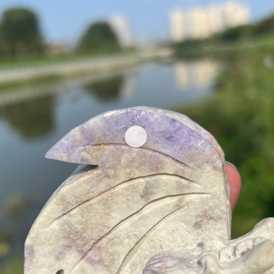 Natural Hackmanite Dragon