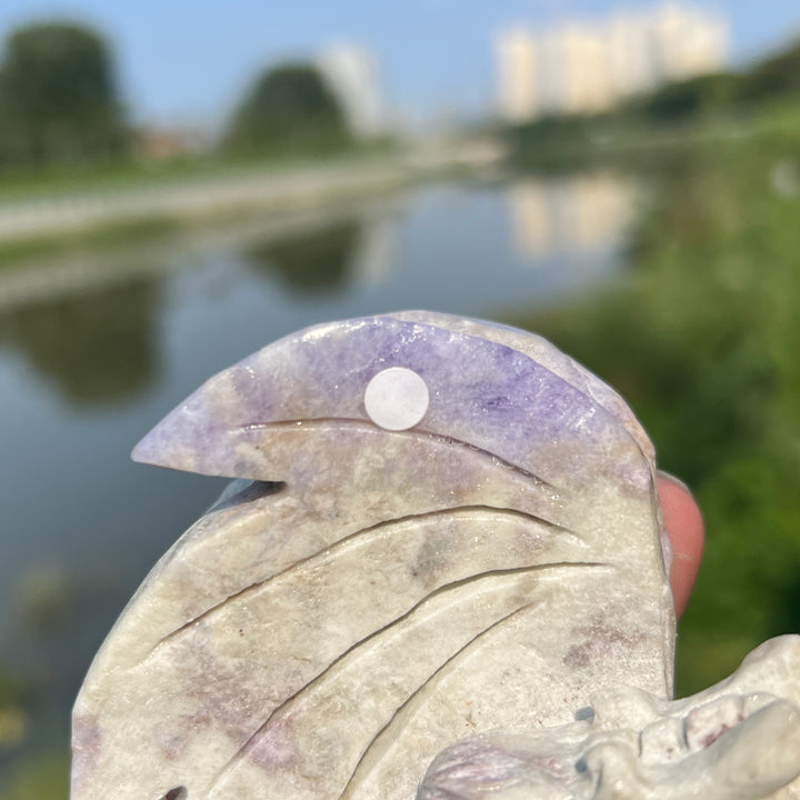 Natural Hackmanite Dragon