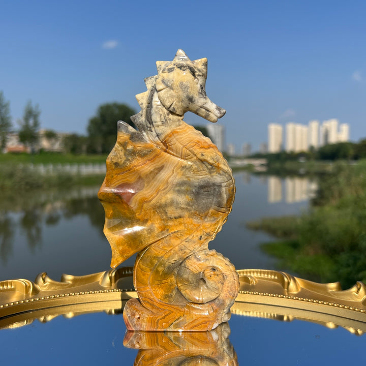 Crazy Agate Hippocampus