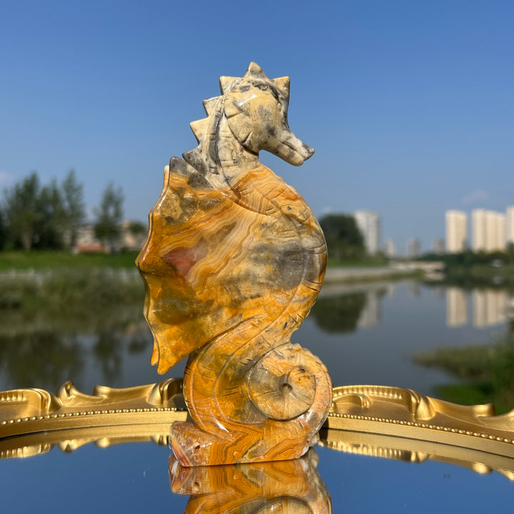 Crazy Agate Hippocampus