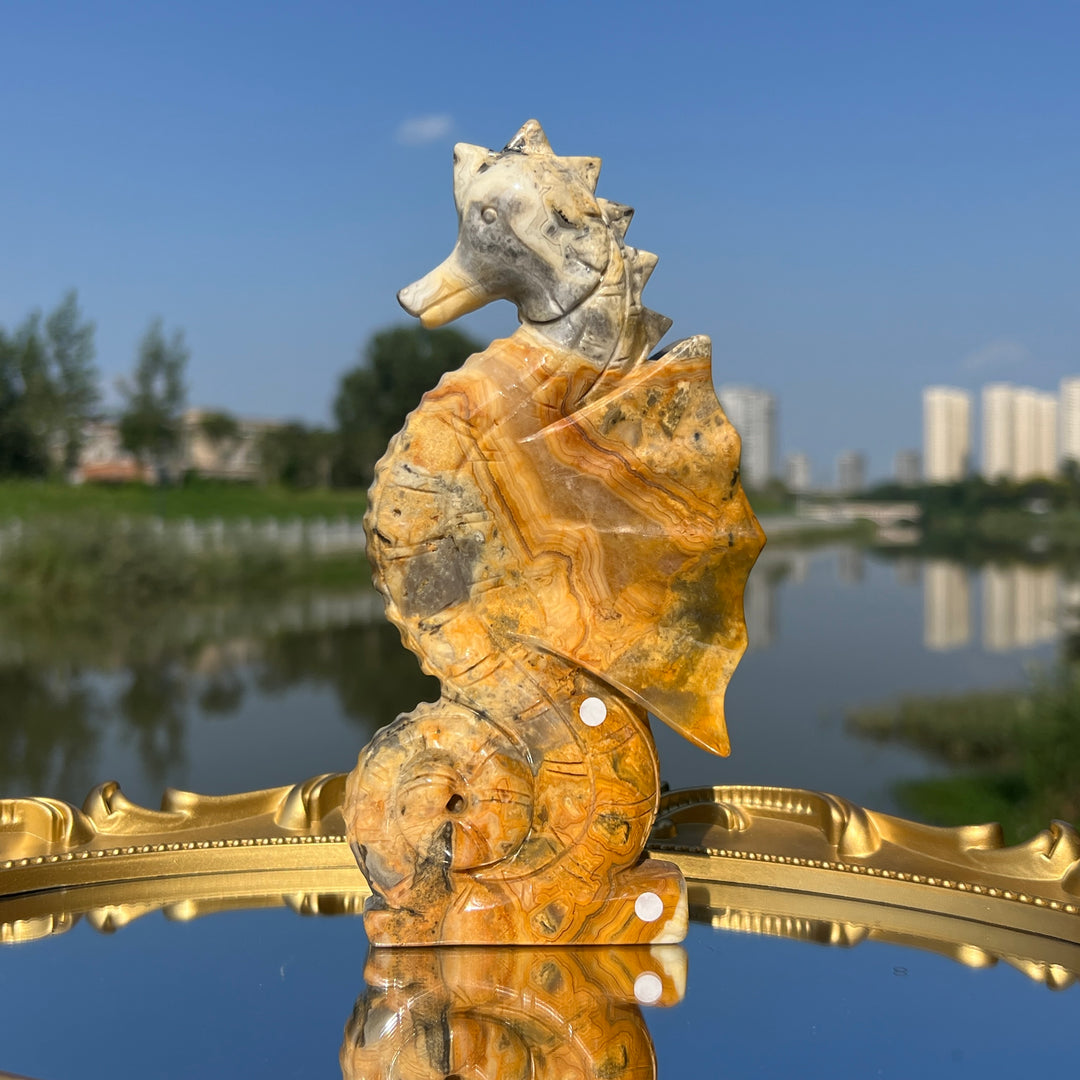 Crazy Agate Hippocampus