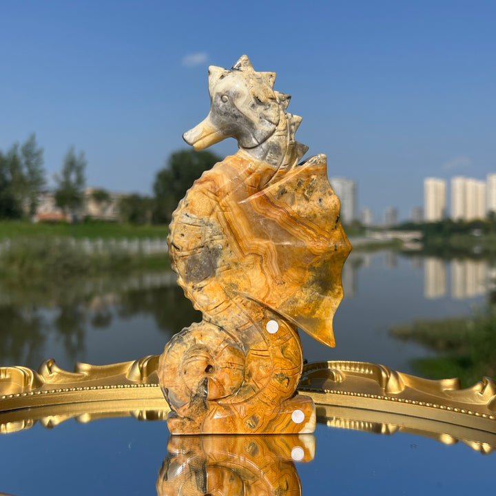 Crazy Agate Hippocampus