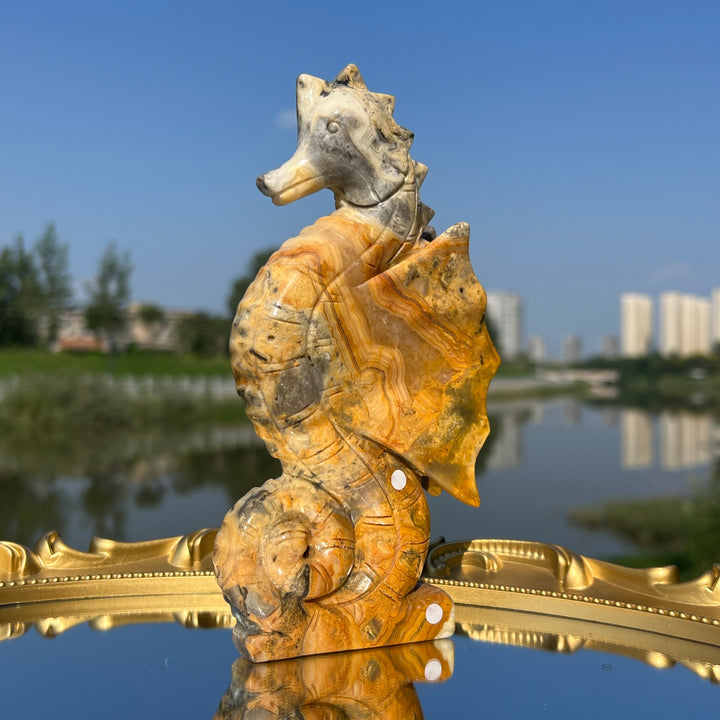 Crazy Agate Hippocampus