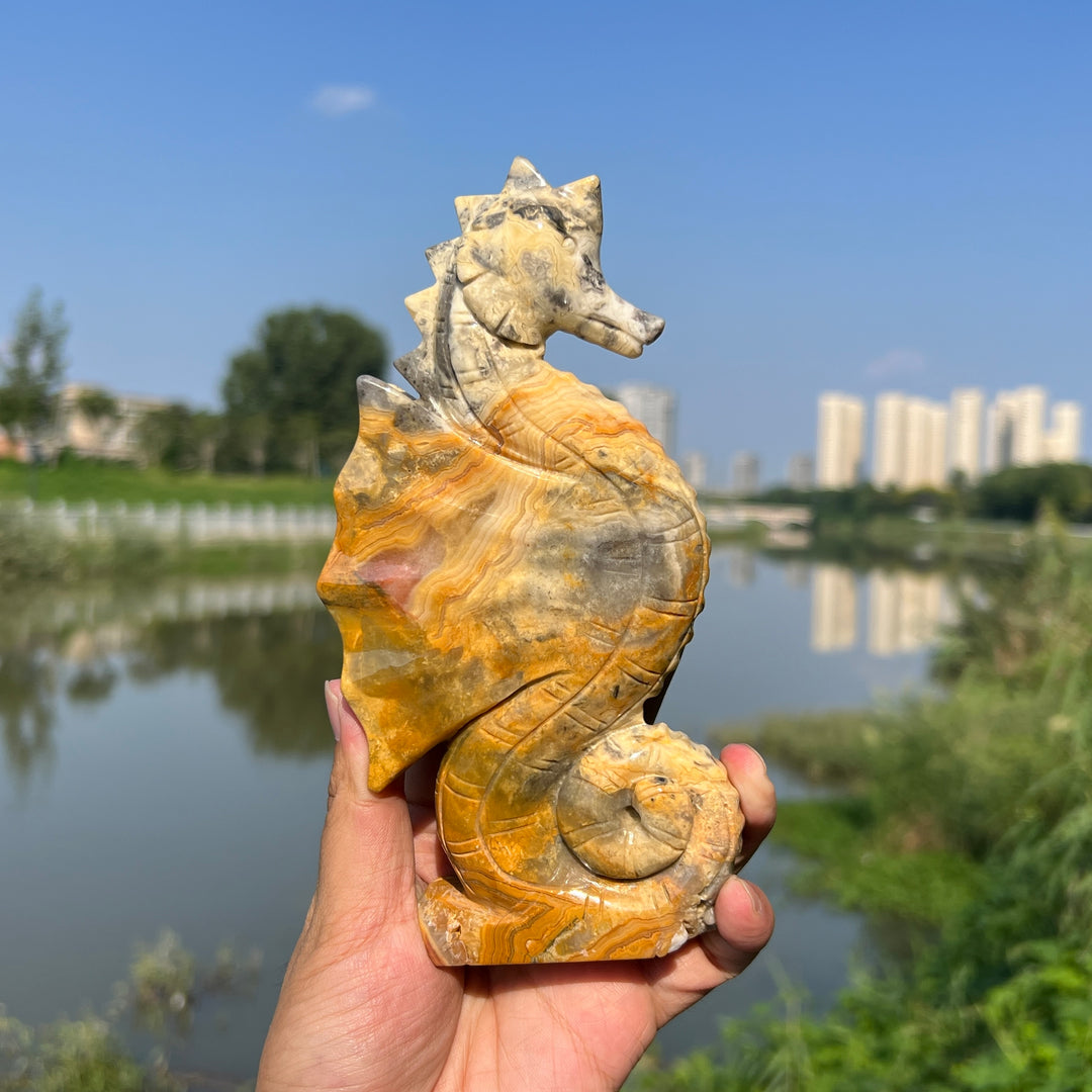 Crazy Agate Hippocampus