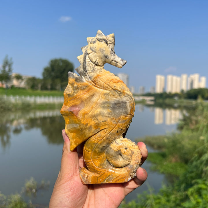 Crazy Agate Hippocampus
