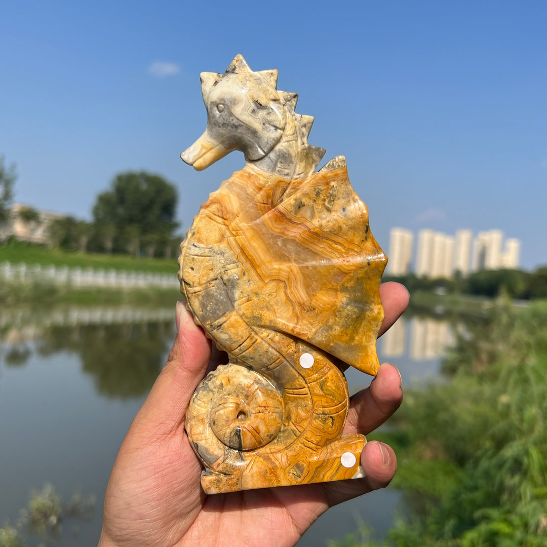 Crazy Agate Hippocampus