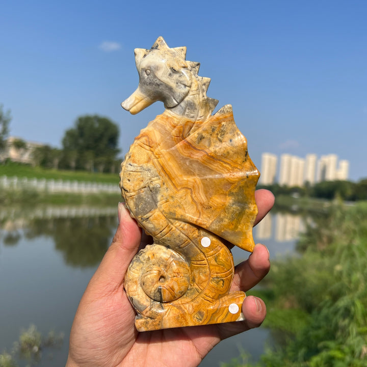 Crazy Agate Hippocampus