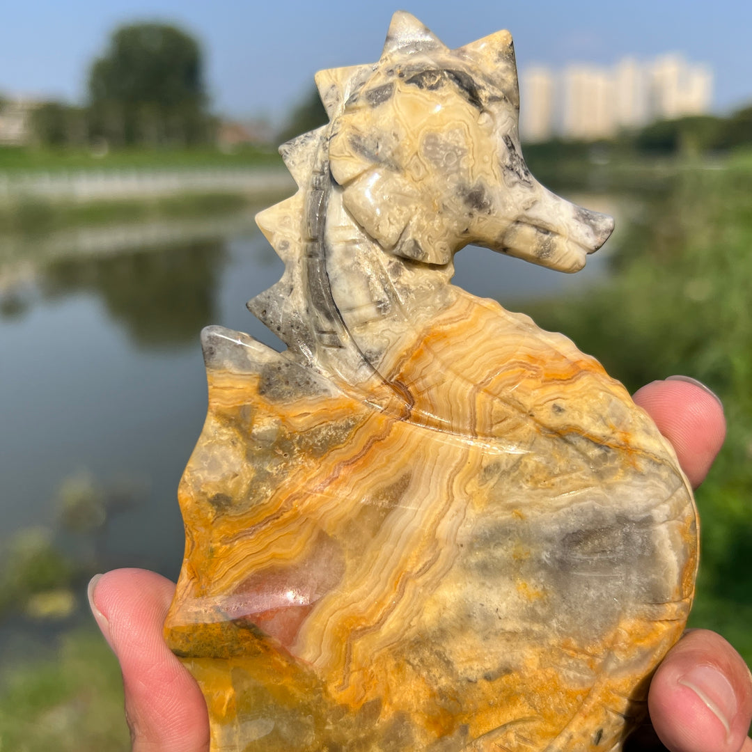 Crazy Agate Hippocampus