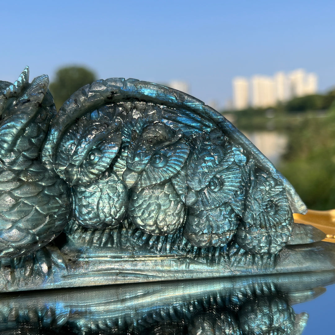Labradorite Owl Family
