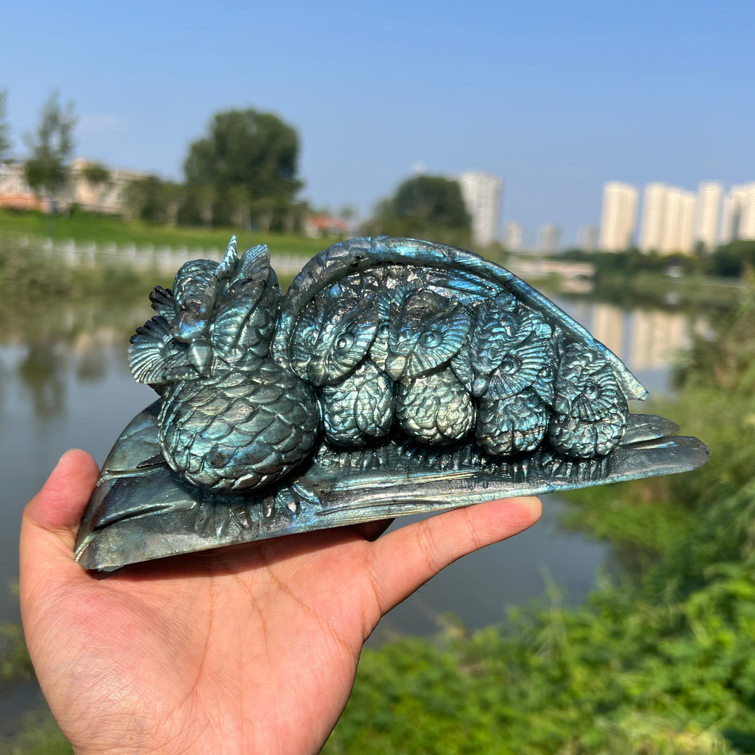 Labradorite Owl Family