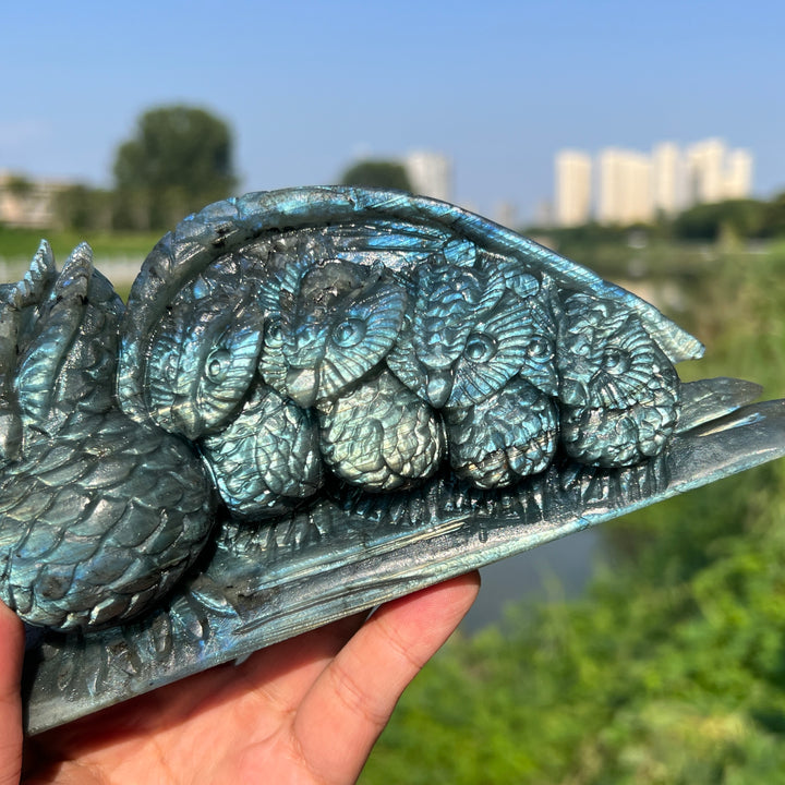 Labradorite Owl Family