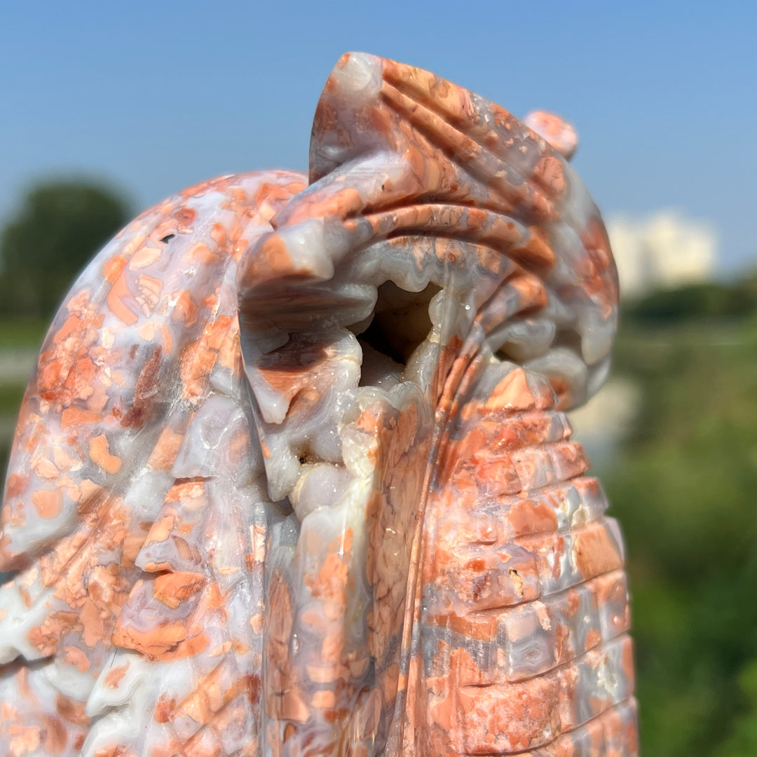 Pink Agate Dragon