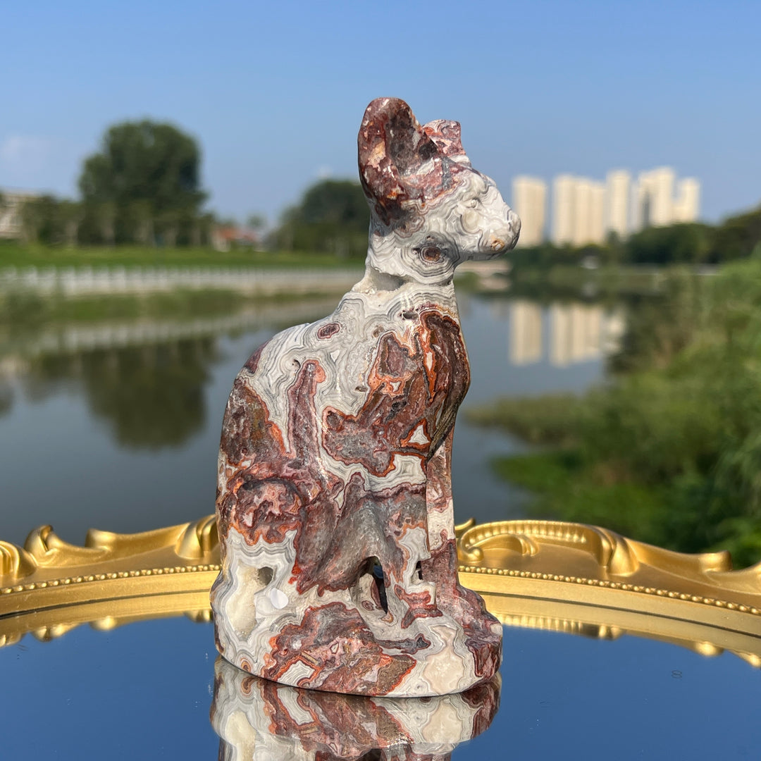 Mexican Agate Sphynx Cat