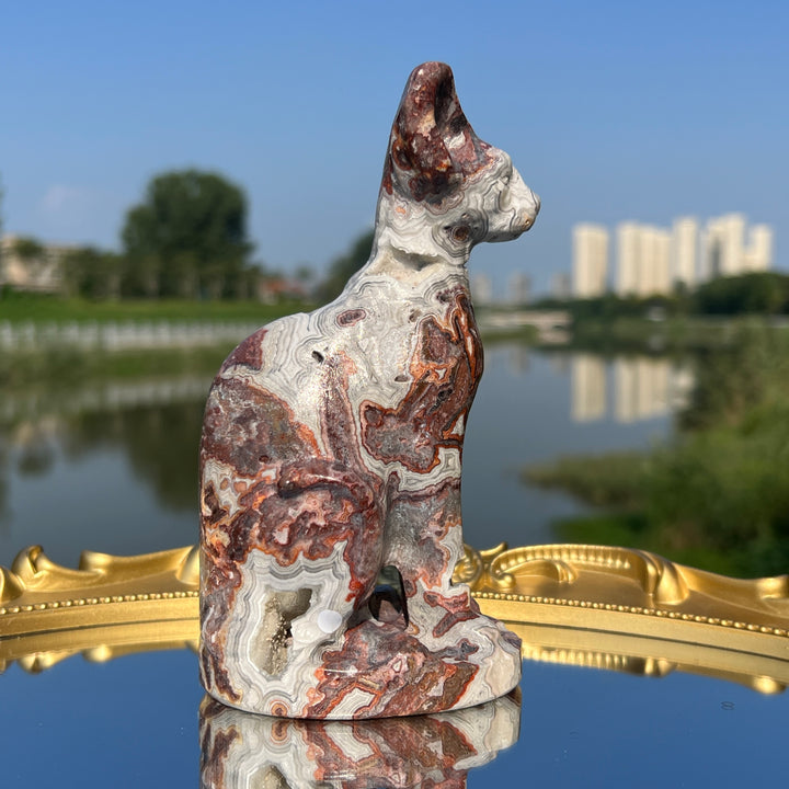 Mexican Agate Sphynx Cat