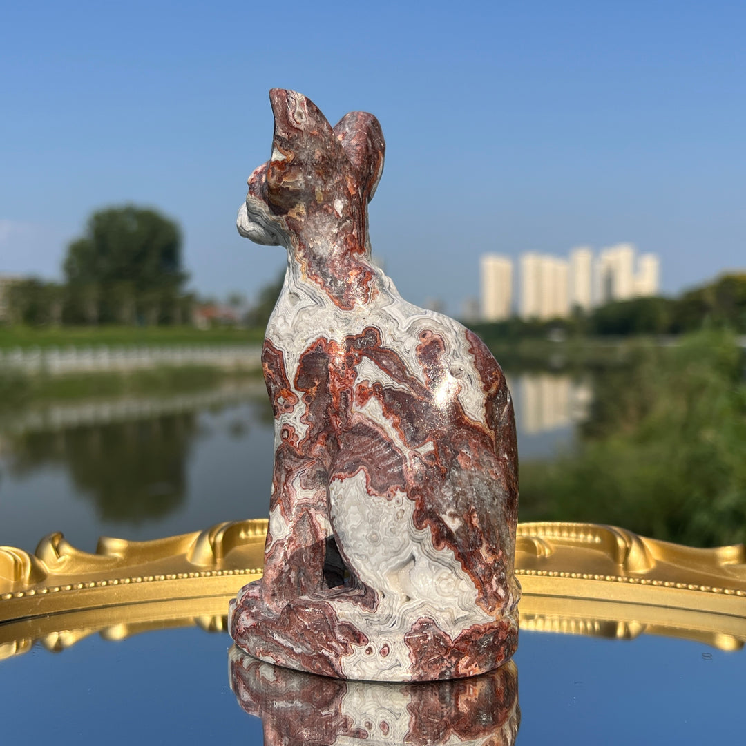 Mexican Agate Sphynx Cat