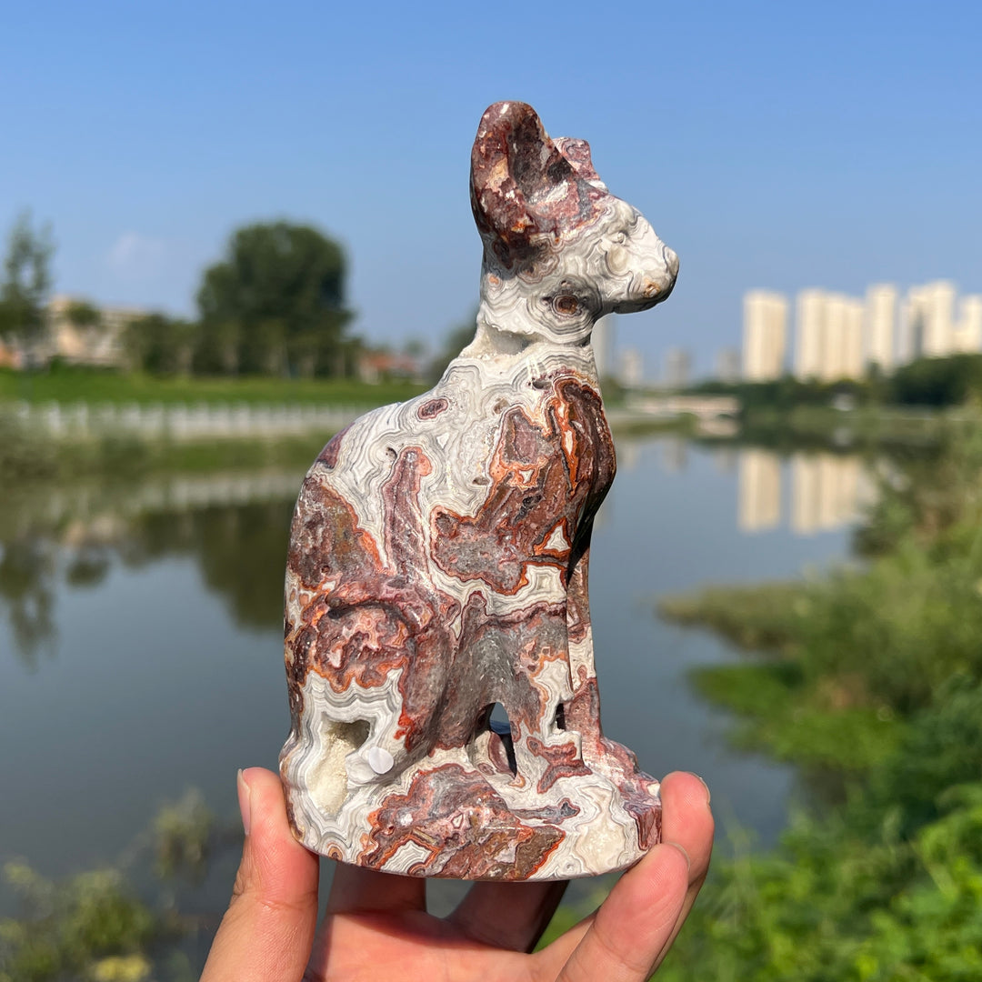 Mexican Agate Sphynx Cat