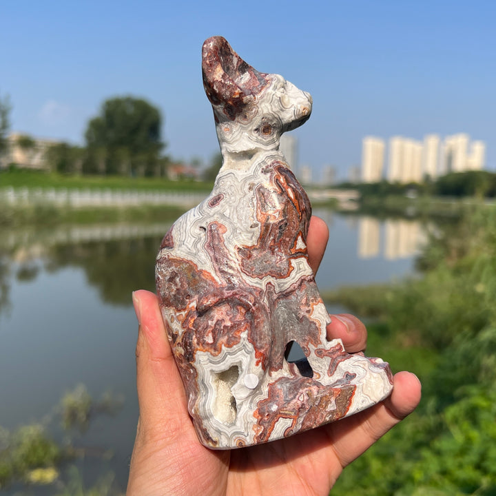 Mexican Agate Sphynx Cat