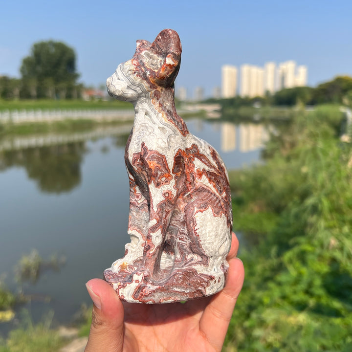 Mexican Agate Sphynx Cat